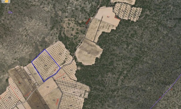 Revente - Parcelle Terrain -
Yecla