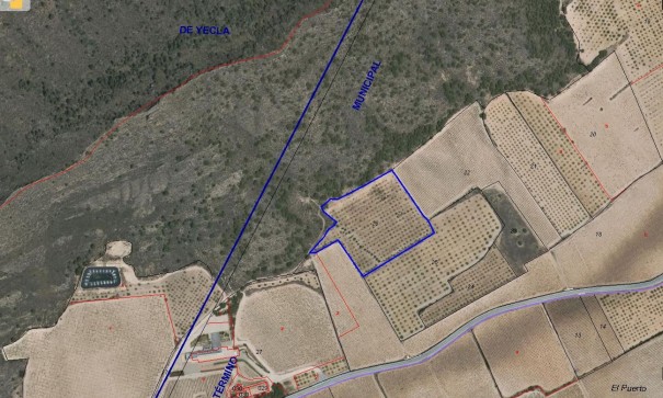 Återförsäljning - Vomt Mark -
Yecla