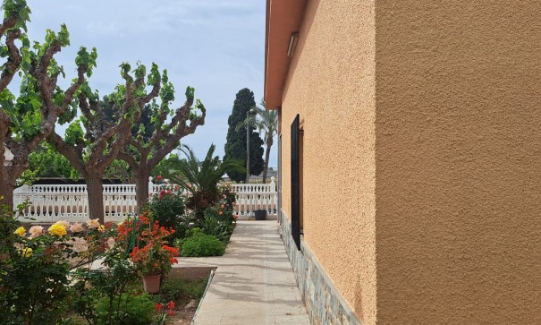 Herverkoop - Finca Landelijk pand -
Novelda