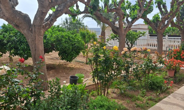 Herverkoop - Finca Landelijk pand -
Novelda