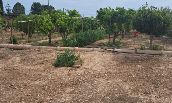 Herverkoop - Finca Landelijk pand -
Novelda