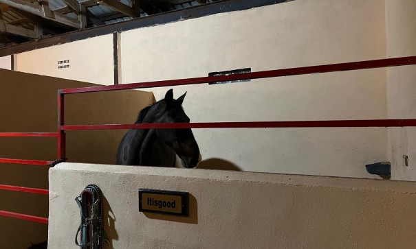 Venta - Chalet Independiente -
Torre del Rico - Torre Del Rico