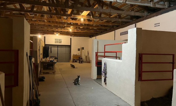 Venta - Chalet Independiente -
Torre del Rico - Torre Del Rico