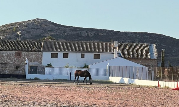 Venta - Chalet Independiente -
Torre del Rico - Torre Del Rico