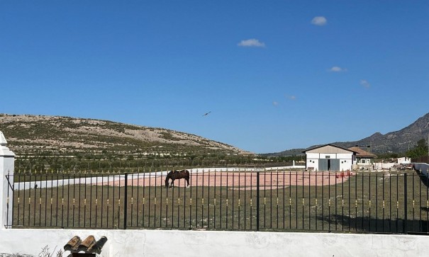 Venta - Chalet Independiente -
Torre del Rico - Torre Del Rico