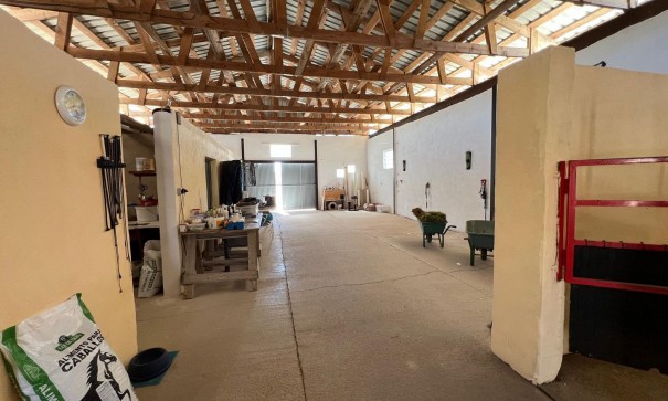 Venta - Chalet Independiente -
Torre del Rico - Torre Del Rico