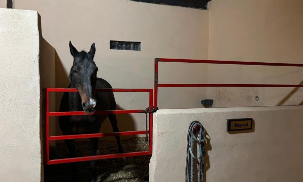 Venta - Chalet Independiente -
Torre del Rico - Torre Del Rico