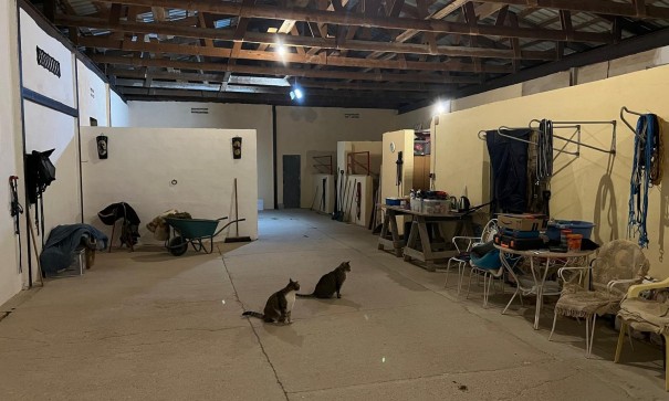 Venta - Chalet Independiente -
Torre del Rico - Torre Del Rico