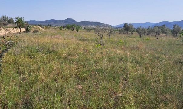 Återförsäljning - Finca lantlig egendom -
Monóvar