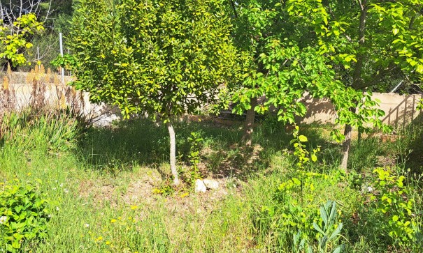 Återförsäljning - Finca lantlig egendom -
Monóvar