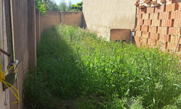 Återförsäljning - Finca lantlig egendom -
Monóvar