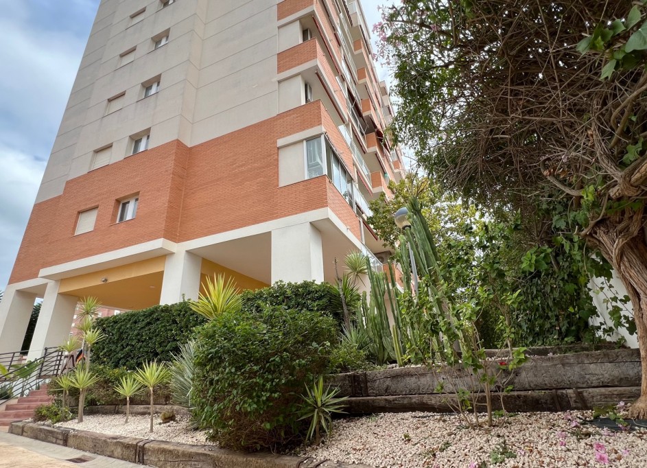 Sprzedaż - Mieszkanie w bloku -
Guardamar del Segura - Puerto