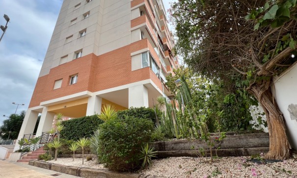 Sprzedaż - Mieszkanie w bloku -
Guardamar del Segura - Puerto