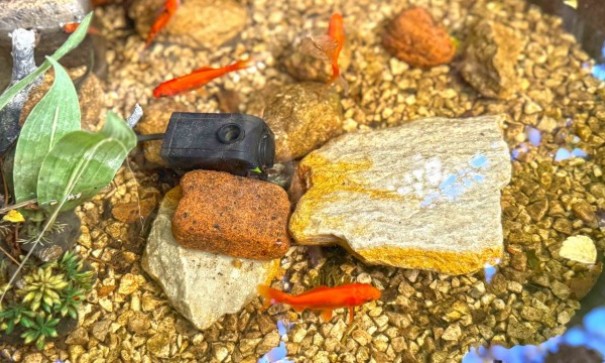 Sprzedaż - Willa w zabudowie bliźniaczej -
Orihuela Costa - 0