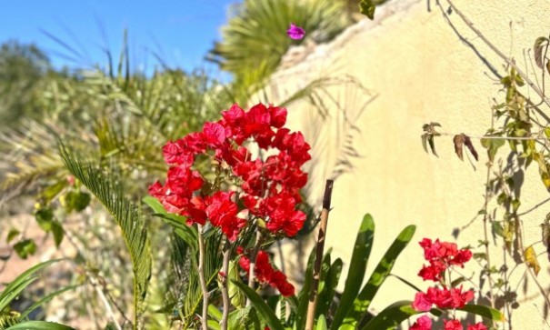 Sprzedaż - Willa w zabudowie bliźniaczej -
Orihuela Costa - 0