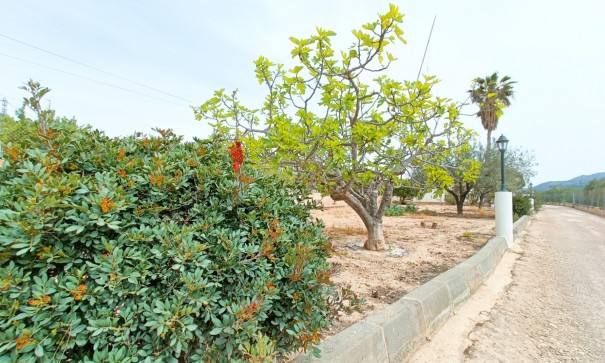 Sprzedaż - Willa wolnostojąca -
Hondón de los Fráiles