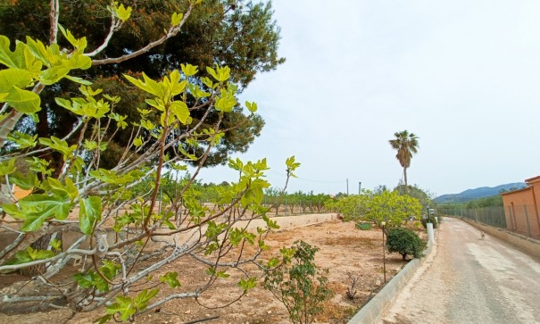 Sprzedaż - Willa wolnostojąca -
Hondón de los Fráiles