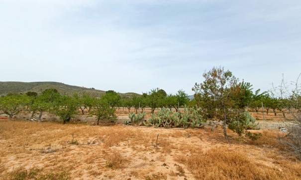 Sprzedaż - Willa wolnostojąca -
Hondón de los Fráiles