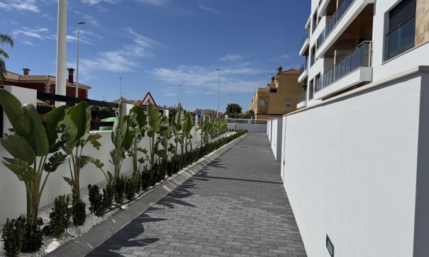 Sprzedaż - Apartament mieszkanie -
La Zenia