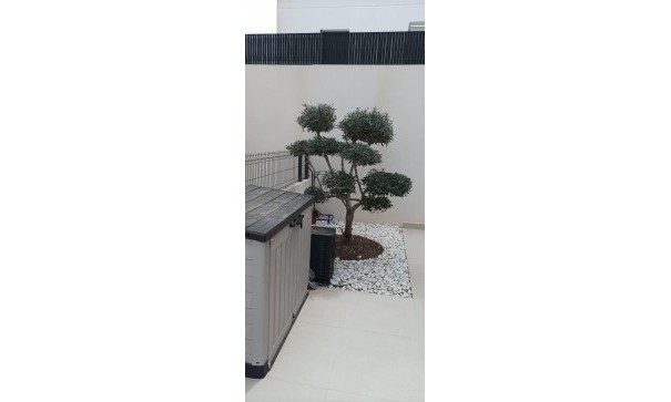 Sale - Detached Villa -
Algorfa