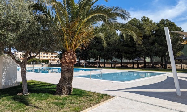 Sale - Town house -
Algorfa