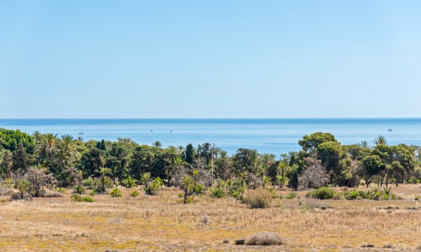 Revente - Appartement -
Punta Prima