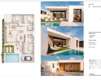 New Build - Freistehende Villa -
Pilar de la Horadada